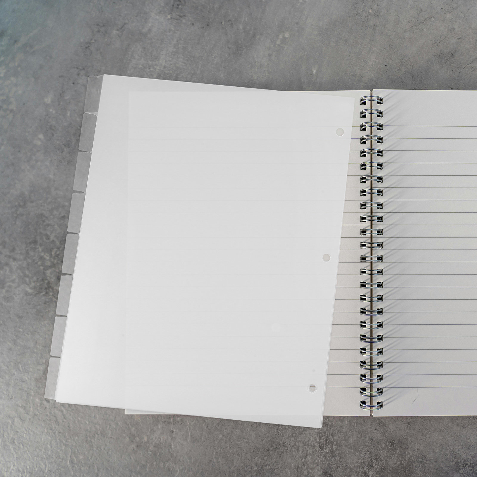 Index Tab Divider - 8 divisori per raccoglitori in plastica