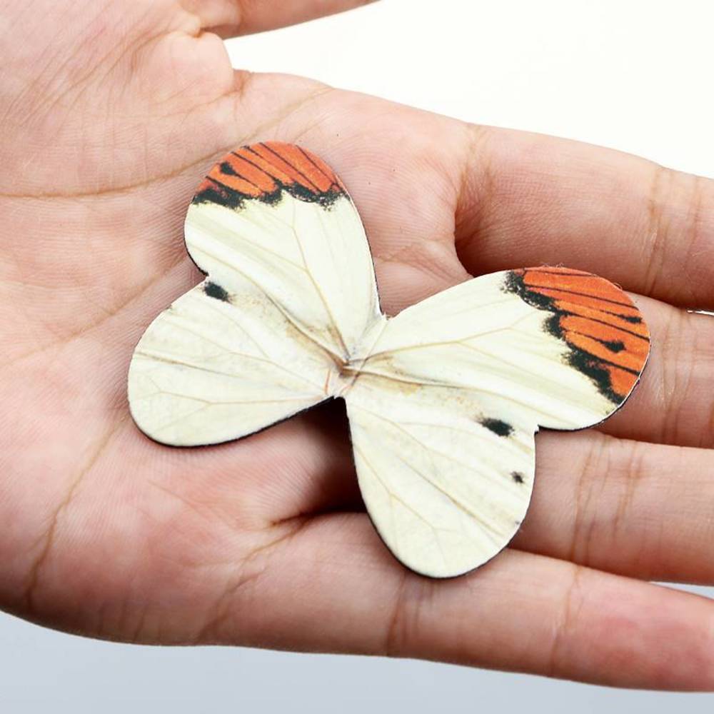 4 pz/set Animali Del Fumetto G - Paperclip Magnetic Set recensione e prezzo