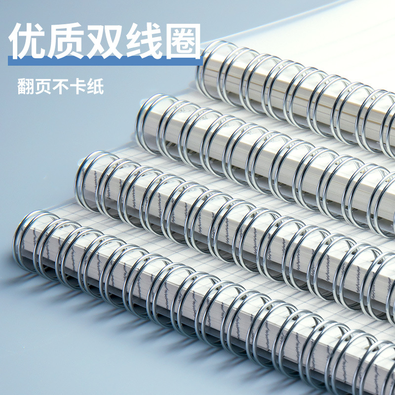 Quaderno a spirale A5 in PP, d - Notebook Dotted A5 recensione e prezzo