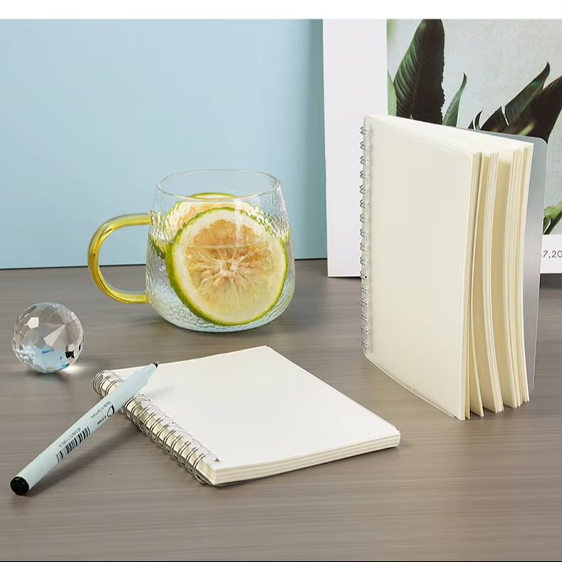 Quaderno a spirale A5 in PP, d - Notebook Dotted A5 recensione e prezzo