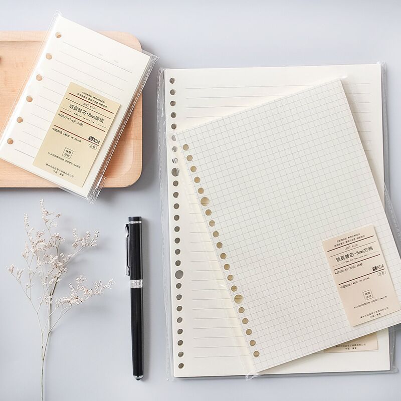 Griglia di linea A5 B5 20 fori - Notebook Dotted A5 recensione e prezzo