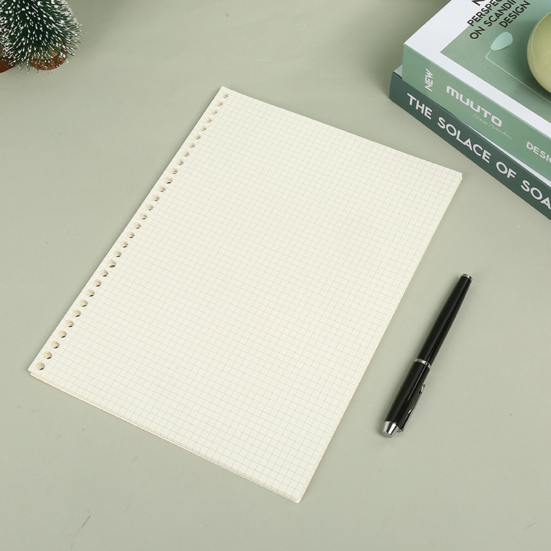 Griglia di linea A5 B5 20 fori - Notebook Dotted A5 recensione e prezzo