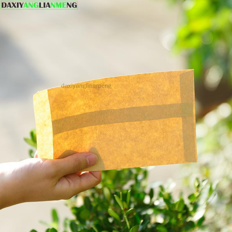 100 pz 6*10 10*16 9*1312*20cm  - Letter Envelope Kraft recensione e prezzo
