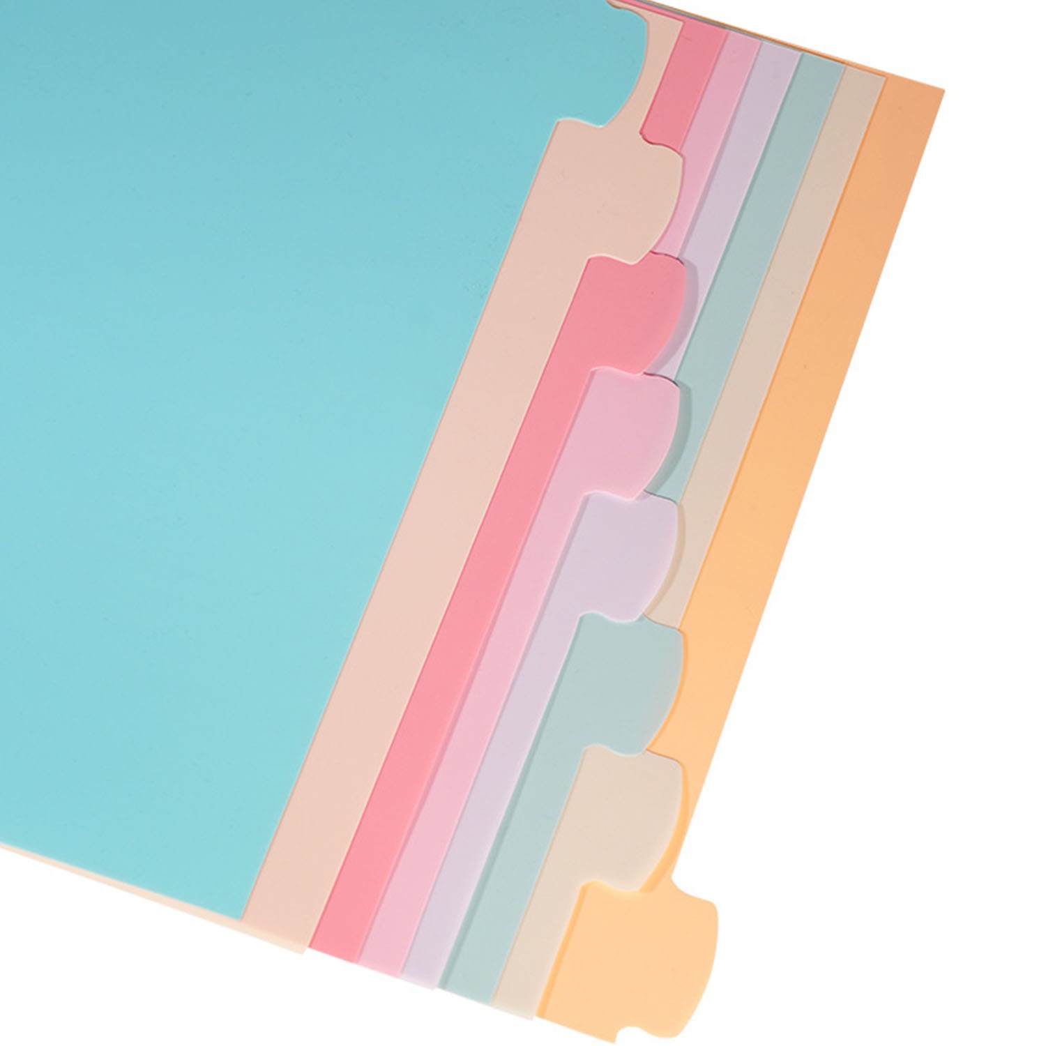8 divisori per raccoglitori a  - Index Tab Divider recensione e prezzo