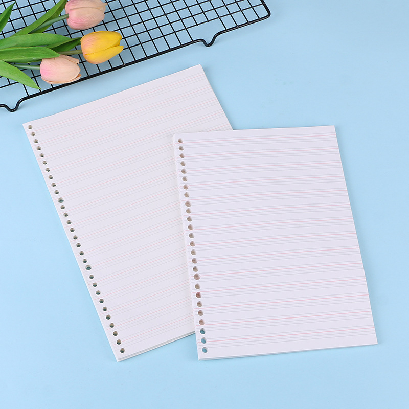 Quaderno A4 A5 B5 quaderno med - Notebook Dotted A5 recensione e prezzo