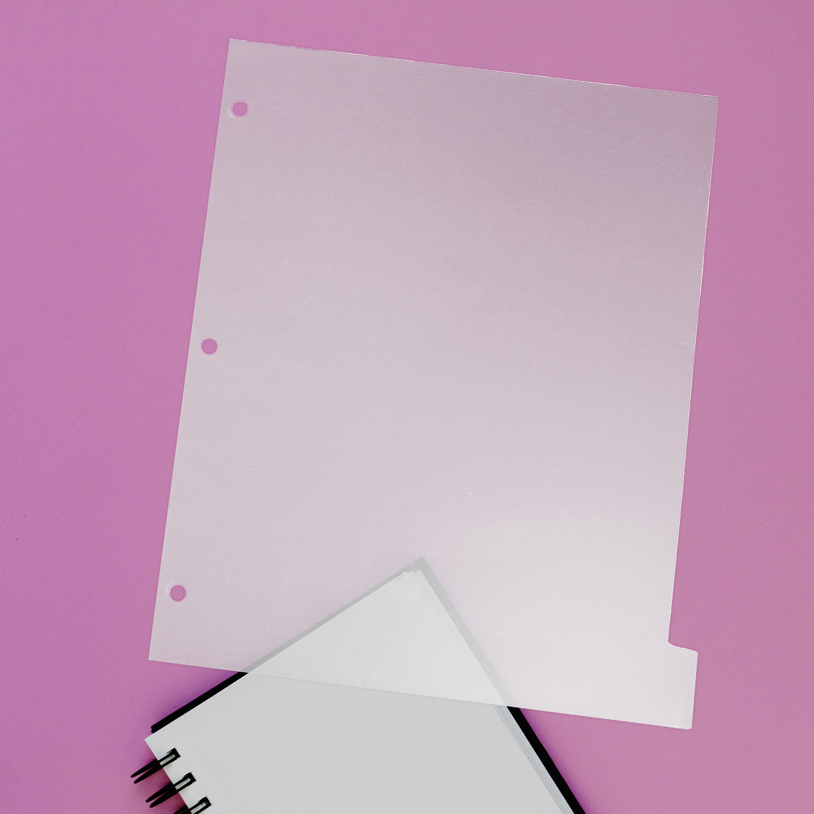 8 divisori per raccoglitori in - Index Tab Divider recensione e prezzo